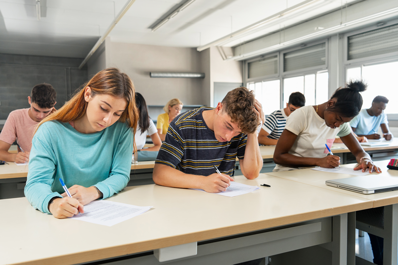 Assessment Criteria Marking Templates Software South Africa